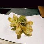 にい留 - 天然の蕗の薹