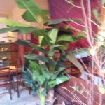 なっぱごちそう - 癒し空間