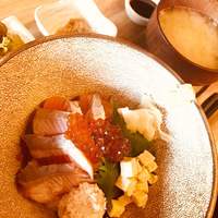 KINKA sushi bar izakaya 渋谷 - 