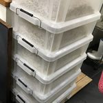 デカ盛り戦隊 豚レンジャー - 