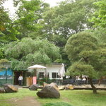 ラ・ブラスリー - (1)緑に囲まれたお店です。