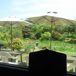もり珈琲店 - 店内からお庭を見る
