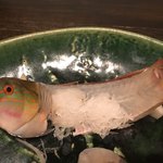 郷土味 かけはし - お造りのギザミ