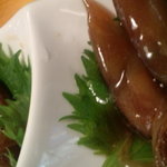 うなぎ屋酒坊・画荘 越後屋 - 初♪ホタルイカオキヅケ♪