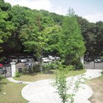 森の邸宅　彩音　- アノン - - 店内から　駐車場の辺り