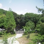 森の邸宅　彩音　- アノン - - 店内から　駐車場の辺り