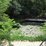 森の邸宅　彩音　- アノン - - 