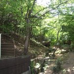 森の邸宅　彩音　- アノン - - 自然がいっぱい♪（端の方まで行きました。）