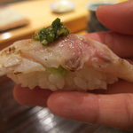 一心鮨 光洋 - かます