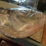 ななにん - 7キロの縞鯵