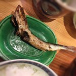 日々魚数寄 東木 - 