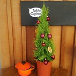 ターブル・オギノ 湘南T-SITE - 