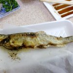 新潟本町 鈴木鮮魚 - 初夏の鮎。たまらない風味。