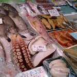 新潟本町 鈴木鮮魚 - 目移りがしてしまいます♪