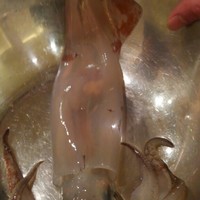 烏賊 鮨ダイニング 鮮助 大宮東口本店 - イカ(中)今日のはスルメイカみたいです。