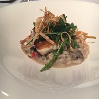 Wattle Tokyo - 