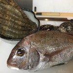 新町 和けい - 