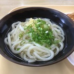 名もないうどん屋 - ネギいれすぎちゃった てへ