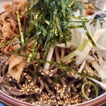 蕎麦切り　ごうめん。 - 肉そば@850円    大満足♪蕎麦だと思うなかれ！もはや全く新しいジャンルの食べ物だと認識すべし！さすればコヤツの味わい方が分かろうってもんだよ！