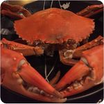 八腳老大螃蟹粥火鍋 - カニ