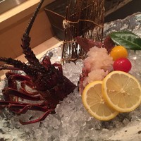 寿司 はせ川 西麻布店 - 伊勢海老のお造り