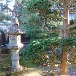 日本料理 きん魚 - 