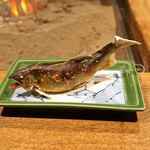 柳家 - 子持ち鮎