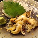 ずぼら - Mar-11　