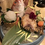 和洋旬菜 新 - のどぐろ&白えび 刺身