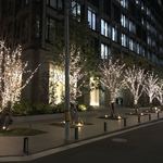 Grand rocher - お店の前のイルミネーション