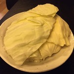 京松蘭 - キャベツ