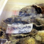 地下の粋 - 冷蔵の牡蠣