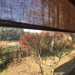 鬼怒川 竹やぶ - 