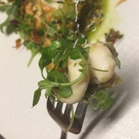 TACUBO - 