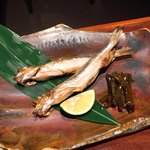 七代目 寅 - 柳葉魚