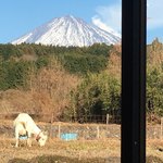 レストラン ビオス - 