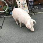 いかれたヌードル フィッシュトンズ - 新町に豚がいました！