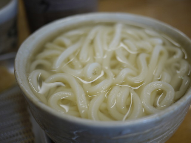 Kamaage Udon Icchuu photo