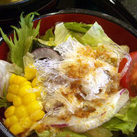 神田明神下 みやび 本店 - 「みやび天丼」のサラダ