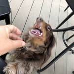 スターバックスコーヒー - 怖い