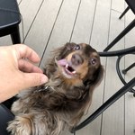 スターバックスコーヒー - 怖い