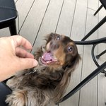 スターバックスコーヒー - 怖い