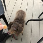 スターバックスコーヒー - 