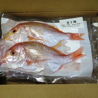魚めし 竹亭 - 佐世保市のふるさと納税返礼品（連子鯛、イサキ、カサゴ）