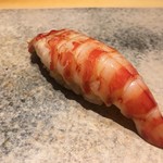 鮨 さいとう - 車海老