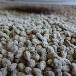 丸荘醤油 - 黒豆麹。