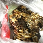 かたつむり - 今の季節でも茸はこんなにとれるそうです