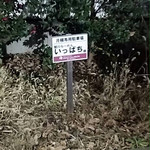 いっぱち - 駐車場の看板