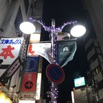 the BAR ACE - H29.12　立教通りの街灯
