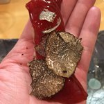 鮨松榮 - 本鮪 大間産＋トリュフ